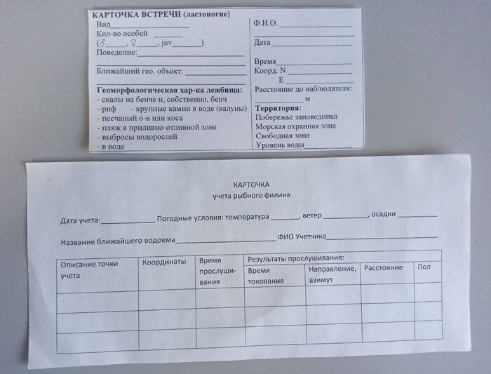      ,  ,    ,    "".     ,     .     ,  