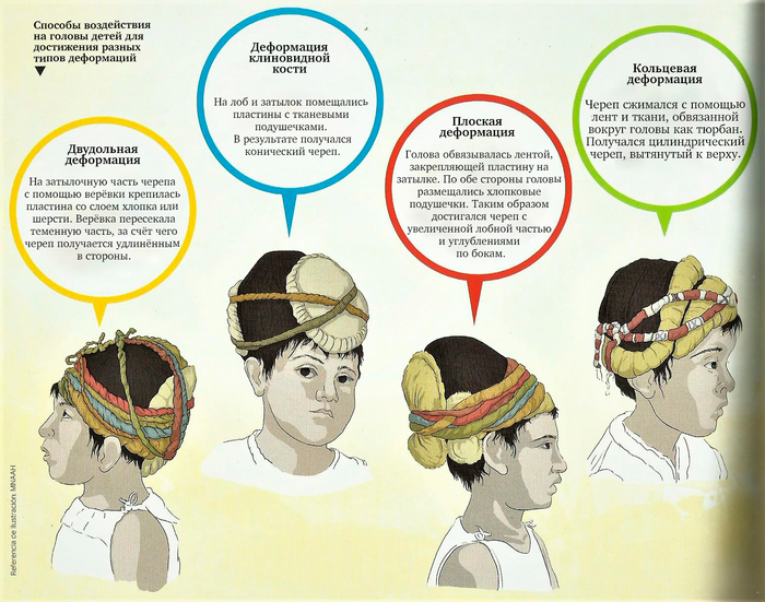 Национальный музей археологии, антропологии и истории Перу, перевод mexicalli