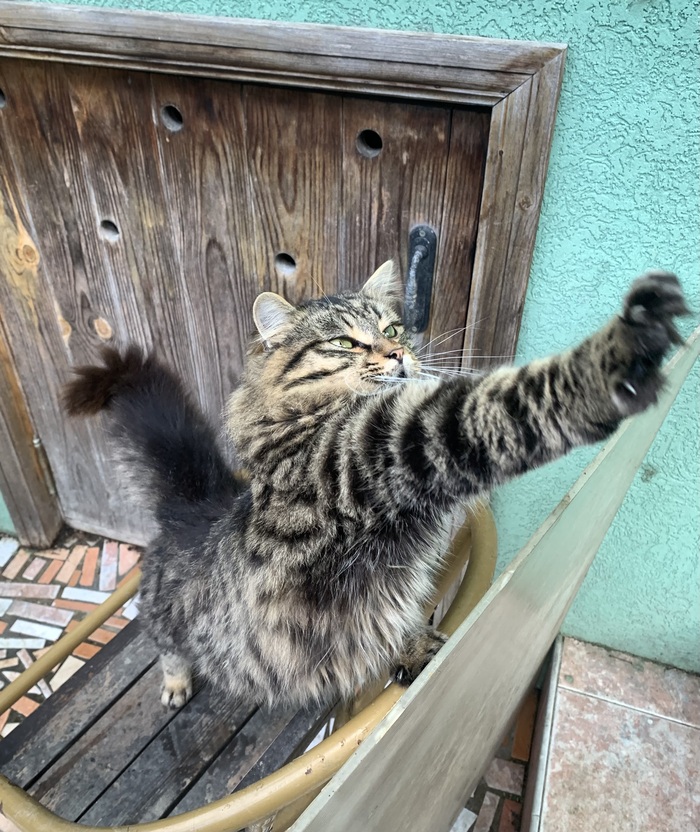 ����-�� ������