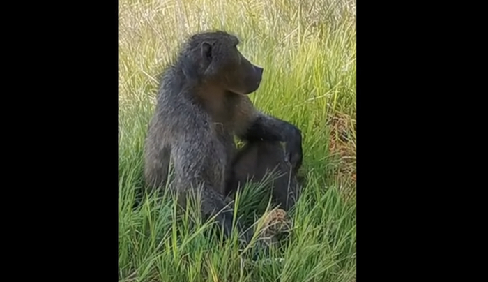     ,     3  .    ,          ,     .