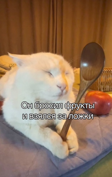 Продолжение поста «Ещё редкие кадры»