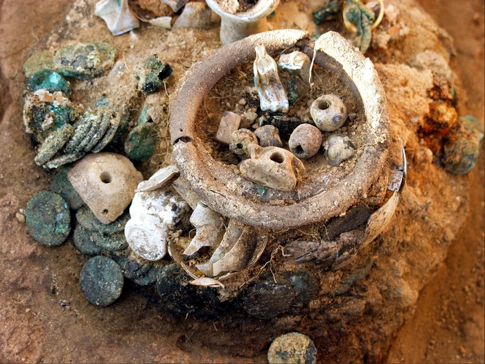 ������������� �������