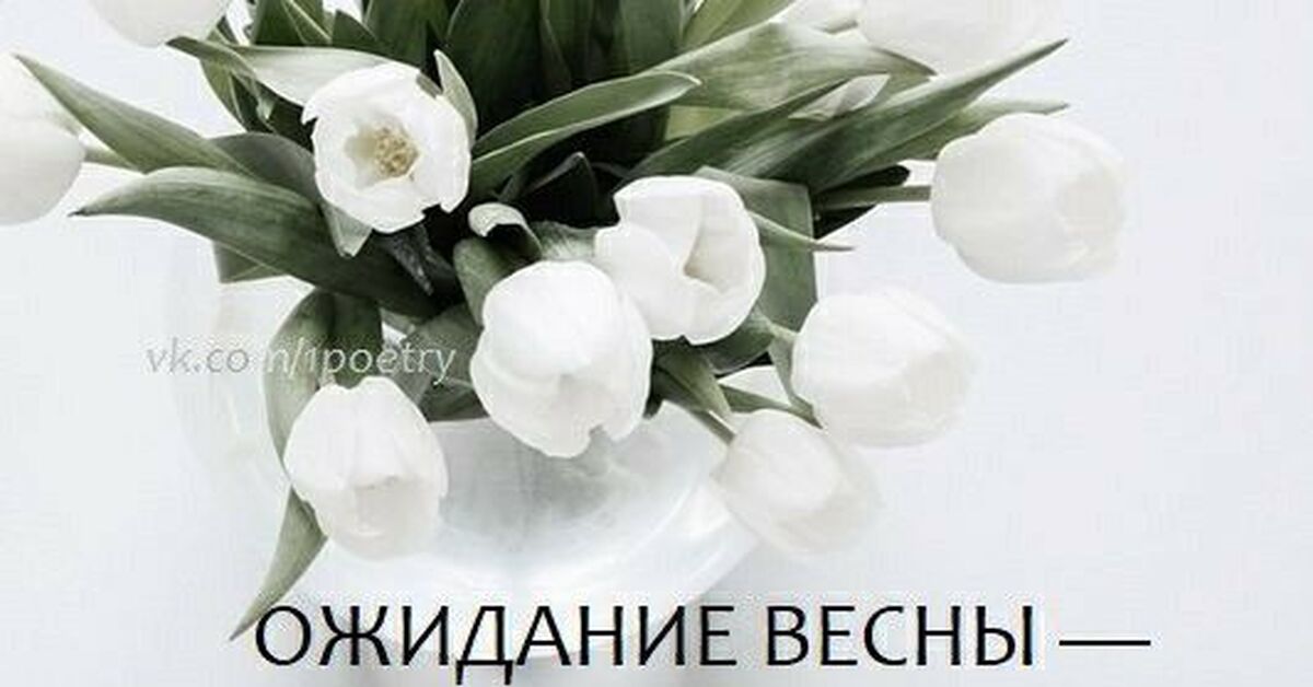 Стивен Кинг. Мизери | Пикабу