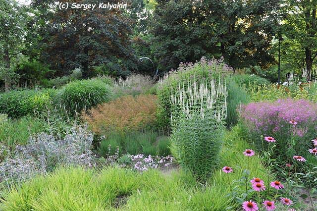 �������� �.������� � Maximilianpark, ��������, ���� ������ ��������, <!--noindex--><a href="https://pikabu.ru/story/landshaftnyiy_praktikum__58_khochu_veronikastrum_ili_kak_vpisat_ponravivsheesya_rastenie_v_sad_11117716?u=http%3A%2F%2Fdzen.ru%2Fskalyakin&t=dzen.ru%2Fskalyakin&h=86c0910dd70a00fb2867ec2a7a4b51686baa69ae" title="http://dzen.ru/skalyakin" target="_blank" rel="nofollow noopener">dzen.ru/skalyakin</a><!--/noindex-->