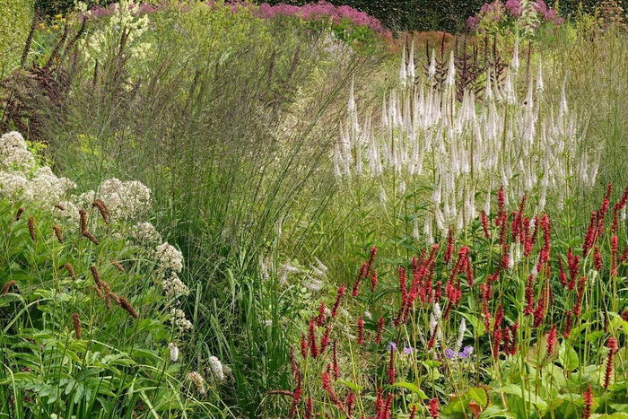 ��������: Piet Oudolf � In***am