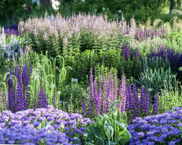 ������ ������ <!--noindex--><a href="https://pikabu.ru/story/landshaftnyiy_praktikum__58_khochu_veronikastrum_chast_2_udachnyie_i_neudachnyie_tsvetovyie_sochetaniya_11117737?u=http%3A%2F%2Fpetra-pelz.com&t=petra-pelz.com&h=833d9c8af2f0bc6c4399b1d94c1f08ca3af24ef2" title="http://petra-pelz.com" target="_blank" rel="nofollow noopener">petra-pelz.com</a><!--/noindex-->, ��������, �������� IGS Hamburg 2013.