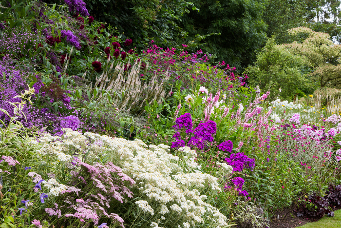 Wollerton Old Hall, ��������������. ��������: <!--noindex--><a href="https://pikabu.ru/story/landshaftnyiy_praktikum__58_khochu_veronikastrum_chast_2_udachnyie_i_neudachnyie_tsvetovyie_sochetaniya_11117737?u=http%3A%2F%2Fvervegardendesign.com&t=vervegardendesign.com&h=cd12cefb7b64e3a3784393c62825b3cfe5a8f834" title="http://vervegardendesign.com" target="_blank" rel="nofollow noopener">vervegardendesign.com</a><!--/noindex-->