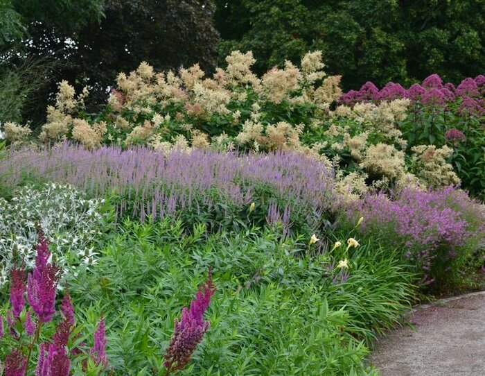 Drömparken, Enköping, ������. ������, �����������. ��������: <!--noindex--><a href="https://pikabu.ru/story/landshaftnyiy_praktikum__58_khochu_veronikastrum_chast_2_udachnyie_i_neudachnyie_tsvetovyie_sochetaniya_11117737?u=http%3A%2F%2Fgardener.blogg.se&t=gardener.blogg.se&h=76f02af03c594ffc4bacd356866e0e08cc5ad483" title="http://gardener.blogg.se" target="_blank" rel="nofollow noopener">gardener.blogg.se</a><!--/noindex-->