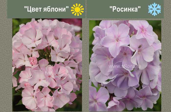 ������ (� ���������) � �������� (�� ���������) ������� ���� � ������