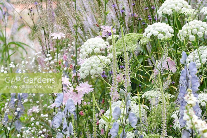 ��������: GAP Photos/Heather Edwards