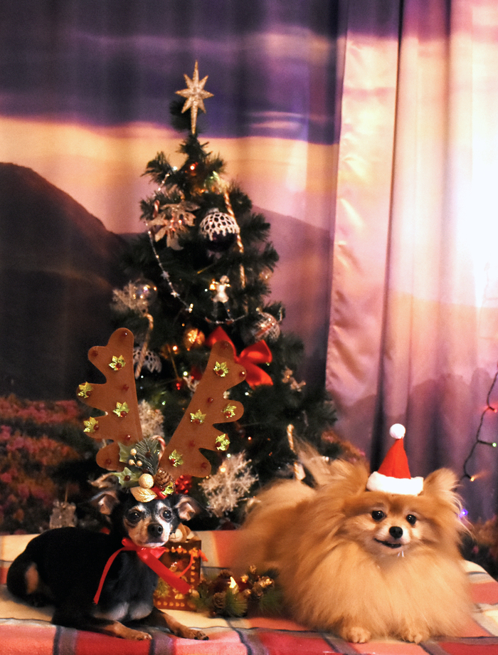   .   ,   .  ,          .