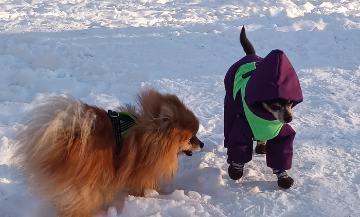         , (           ,)     ,   .