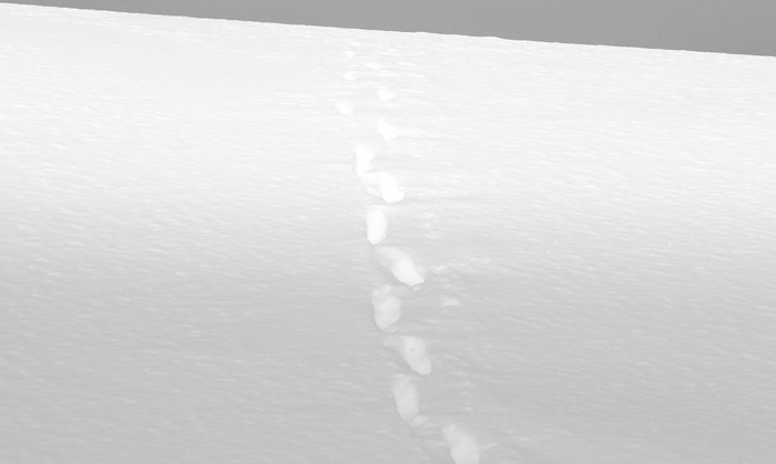 Страшно до жути