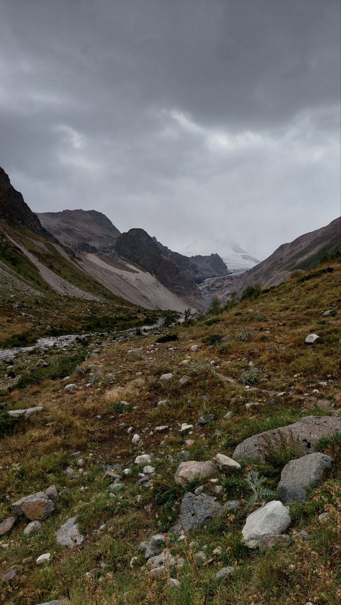 ����� ����� ��������. �� �������� �������� �������. 