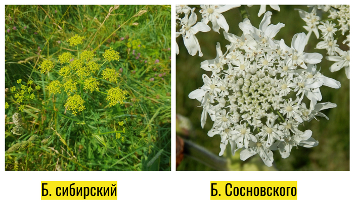 Фото - Антон Гладилин