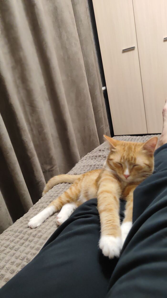 ���-�� �������