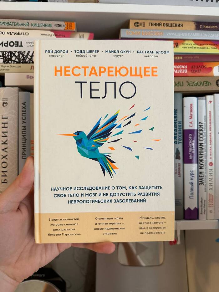 ����������� ���� - ������ �������