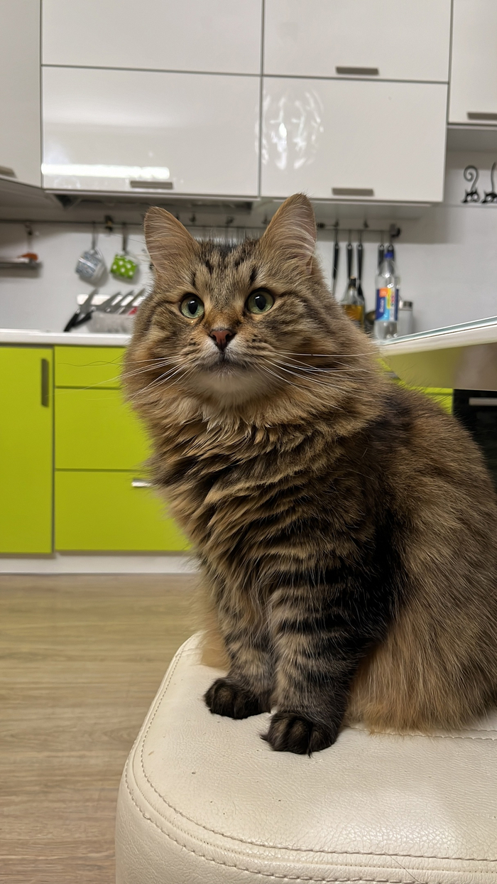 ����� � ���� ��� ������, ���� ������ ��������� ����� ��� ���, �������� ��������, ������� ����, ����������, ��������� ����������