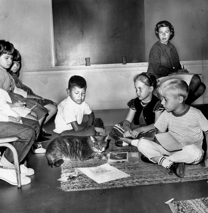 �������������� �������� ��� �� ����� �Room 8� ���, ���, ������, ����������