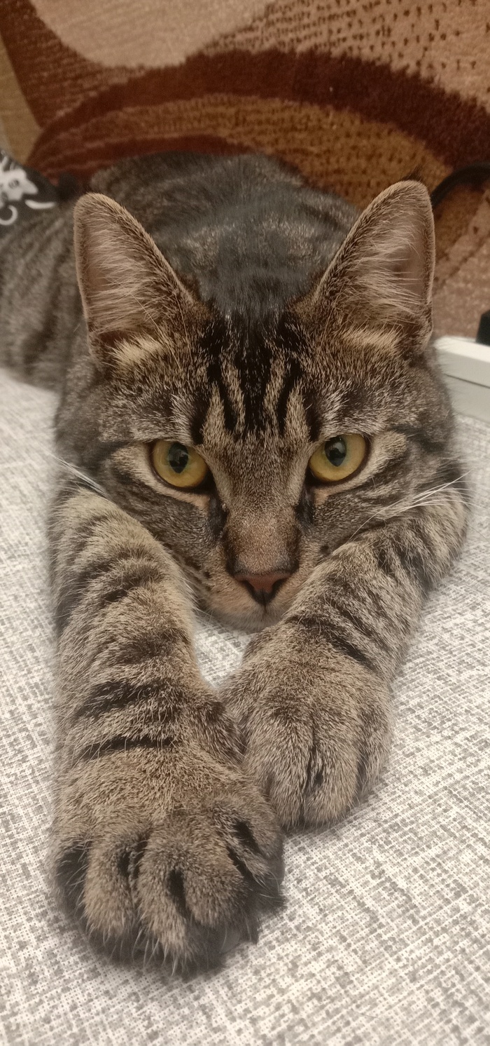    , , , ,  