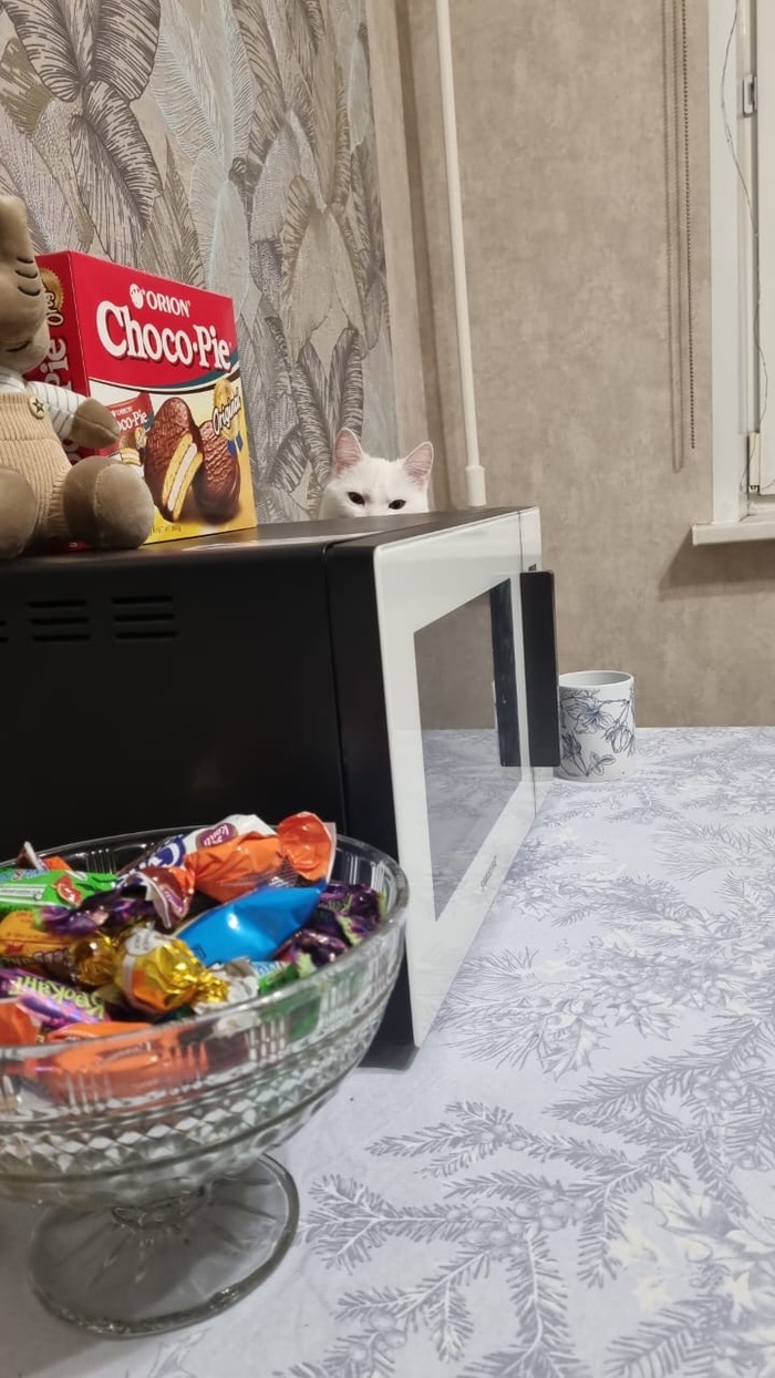 Кто умеет, дорисуйте выглядывающий пистолет, справа от микроволновки)