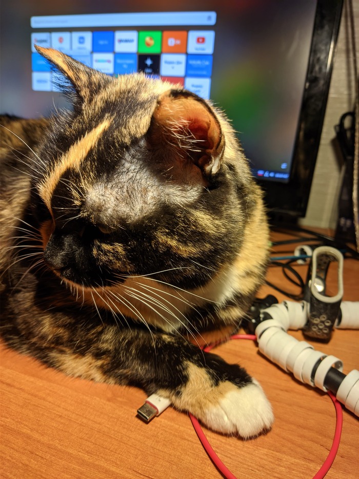 ���� 14 ���