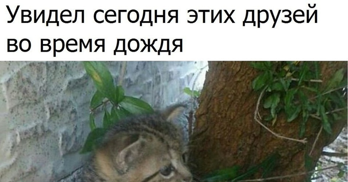 ДоБропост | Пикабу