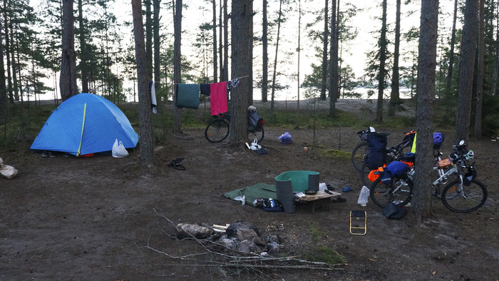 ��������� �����. ������ ����������