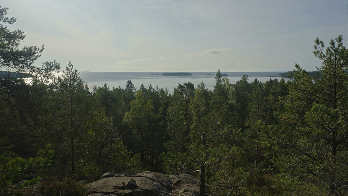 ��������� �����. ������ ����������