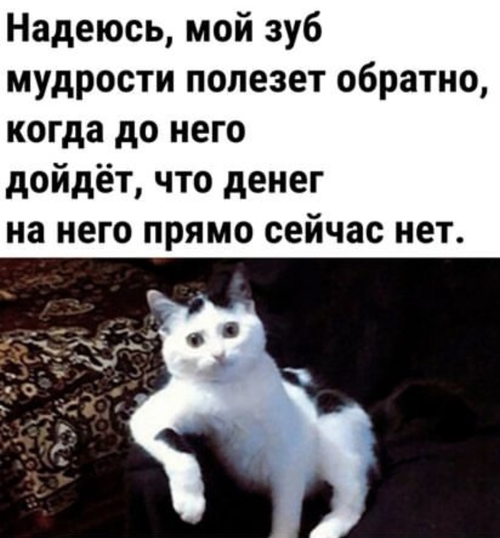 Мудрый зуб | Пикабу