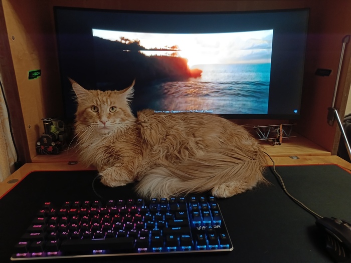  , -,  , 