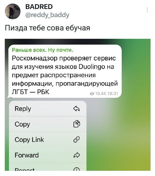  , Telegram (), , , , Duolingo