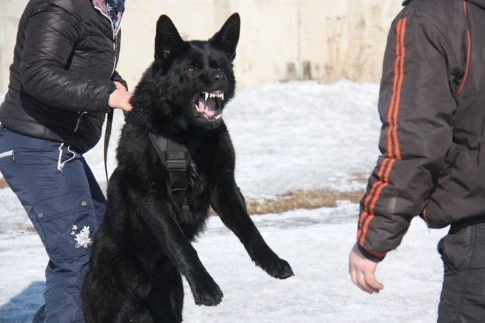 Так чувствует себя каждый, когда выходит в 7 утра зимой в -30, чтобы дождаться набитый людьми автобус.