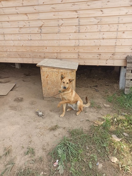      .    .    ,     "",        .