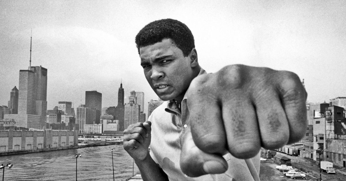 Чем полезен бокс? | Пикабу