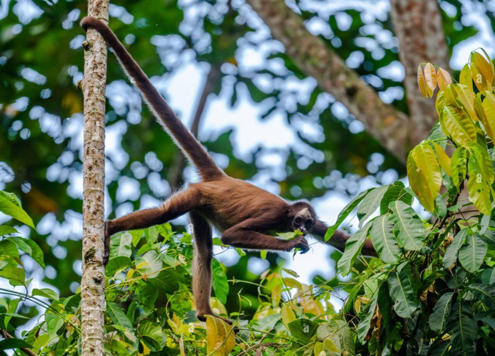 Главное в экстремальных видах спорта — это хорошая страховка!