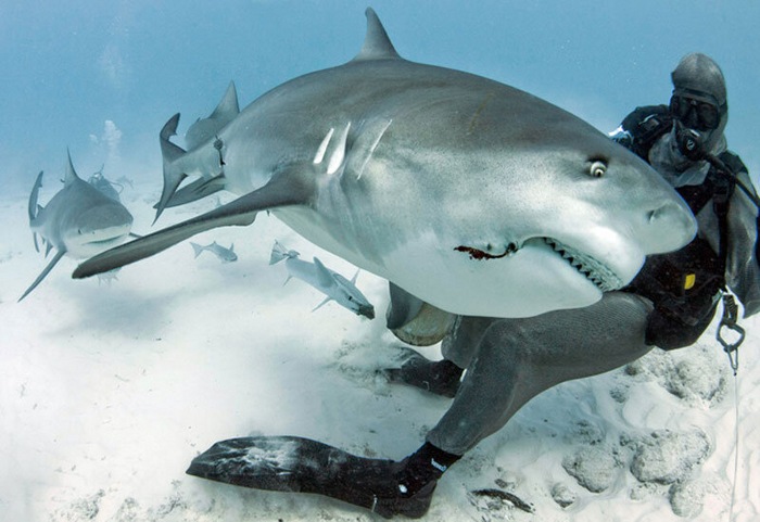 � ��-���� �������� ��������� ������ �� ������� �����...