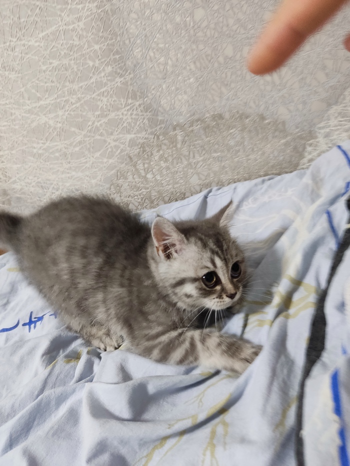 Познакомилась со страшной рукой