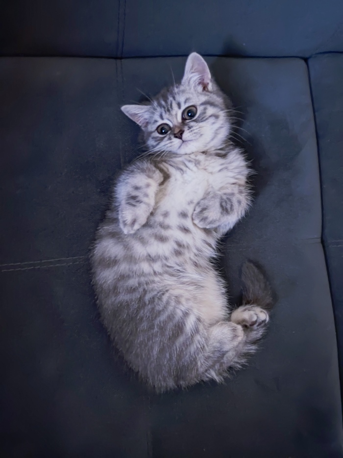 Нашла где удобно спац