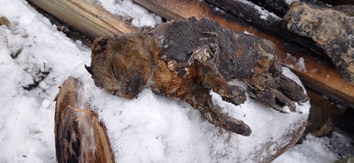 ��� ����. ��� ������ � ���.�����. ��������� ��� �������� � ����������. ������� �������.