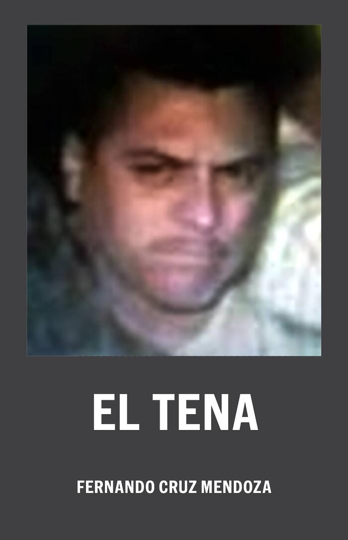 Структура картеля Нового Поколения Халиско в штате Мичоакан. Мексика