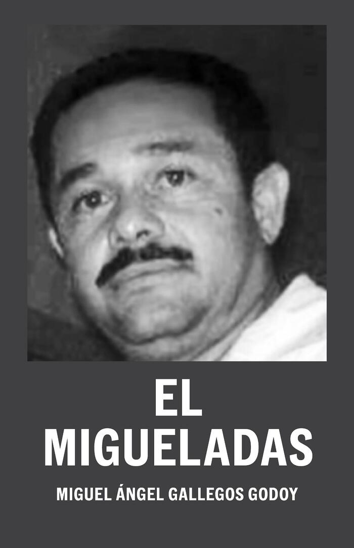 Структура картеля Нового Поколения Халиско в штате Мичоакан. Мексика