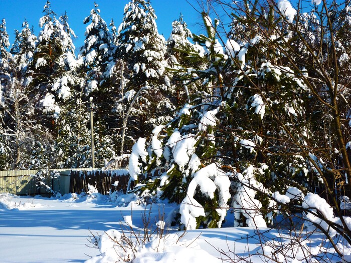 ���� �� �����