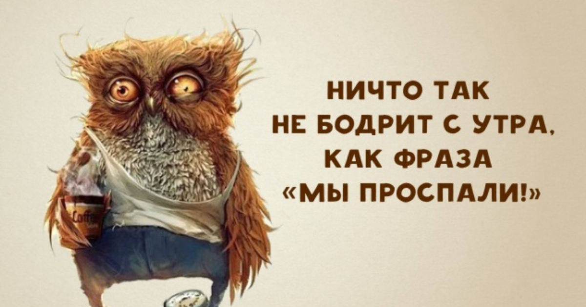 Невыспавшаяся сова