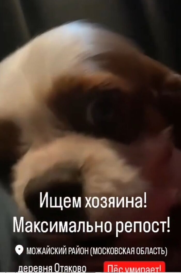 ���������� � ������ ������ � �������� ������������� �������