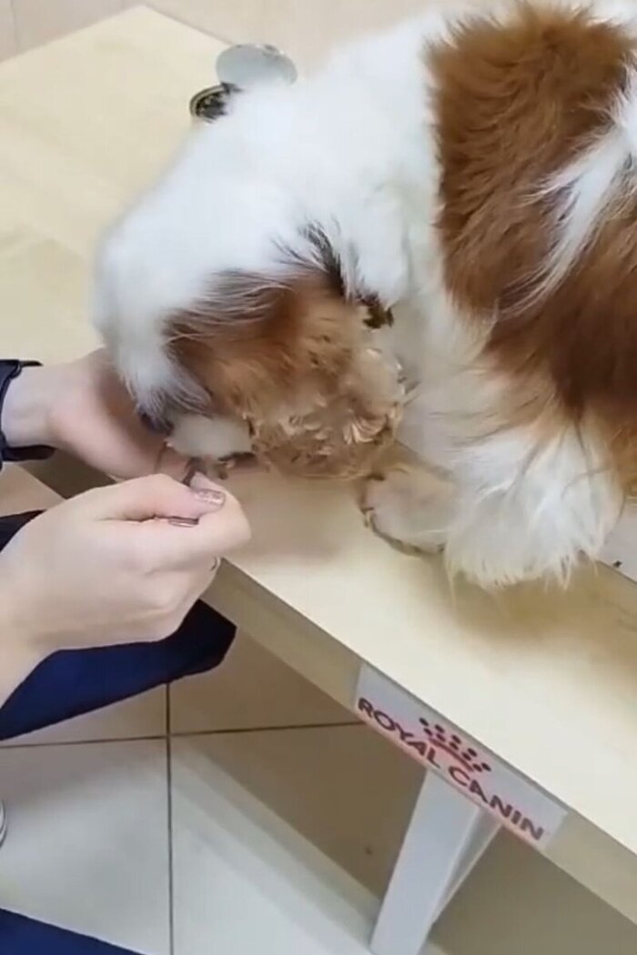 ���� ������, ��������� ������ ���