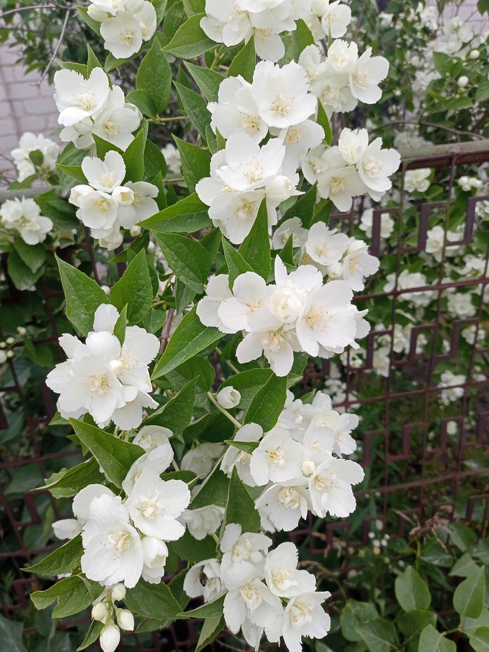 Природа прекрасна | Пикабу
