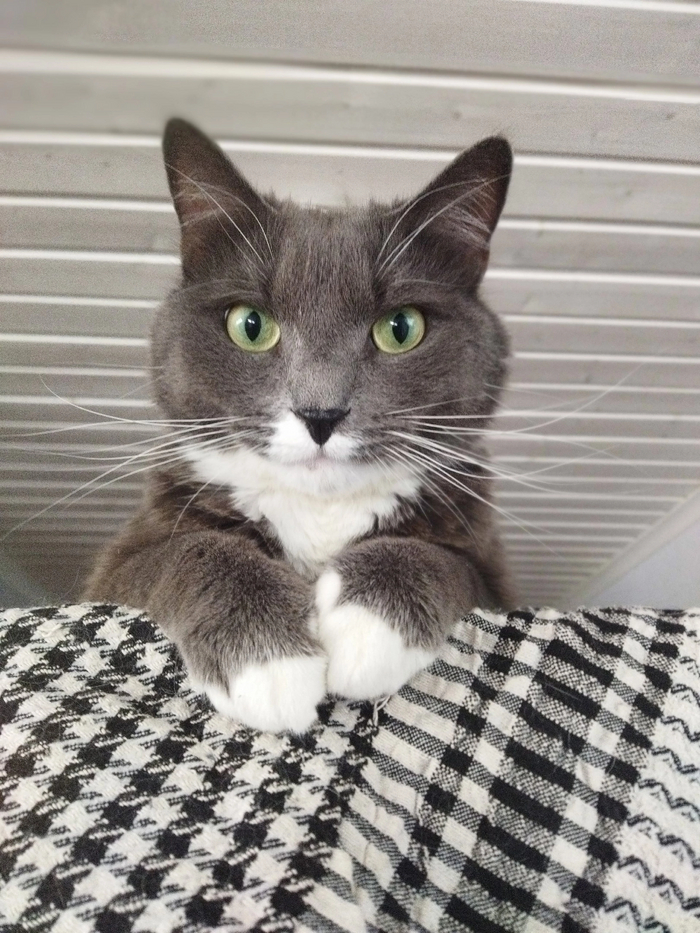 "Вы продаёте лампов?"