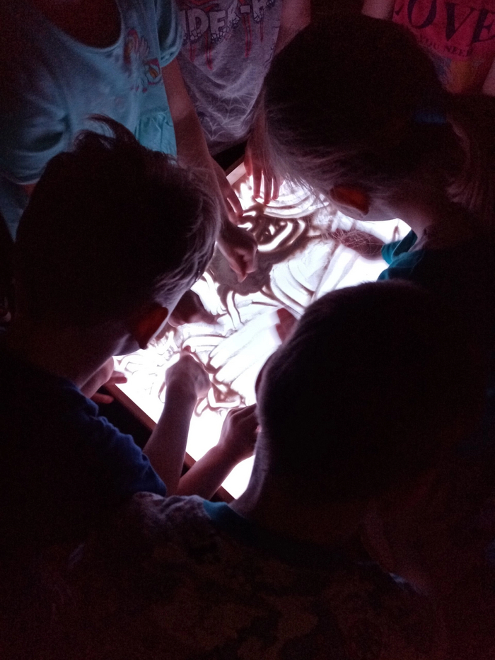    .  .         ,        .   )