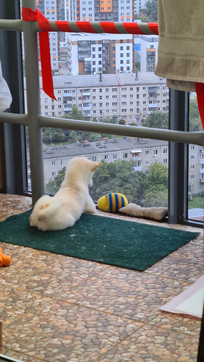 Любительница красивых видов (Екатеринбург)